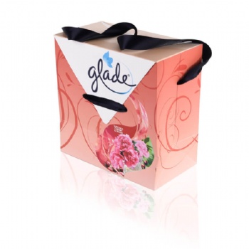 Printed Laminated Paper Bags